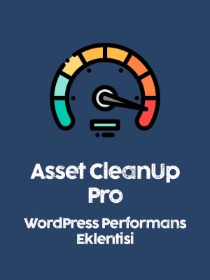 Asset CleanUp Pro Lisansı