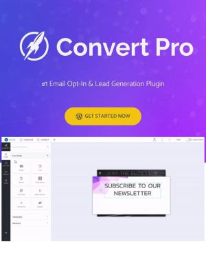 Convert Pro Lisansı