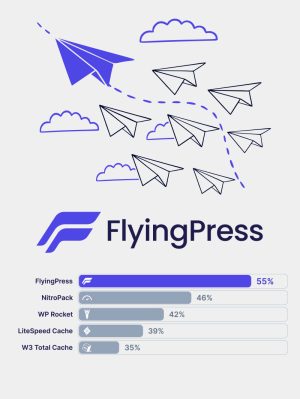 FlyingPress Pro Lisansı