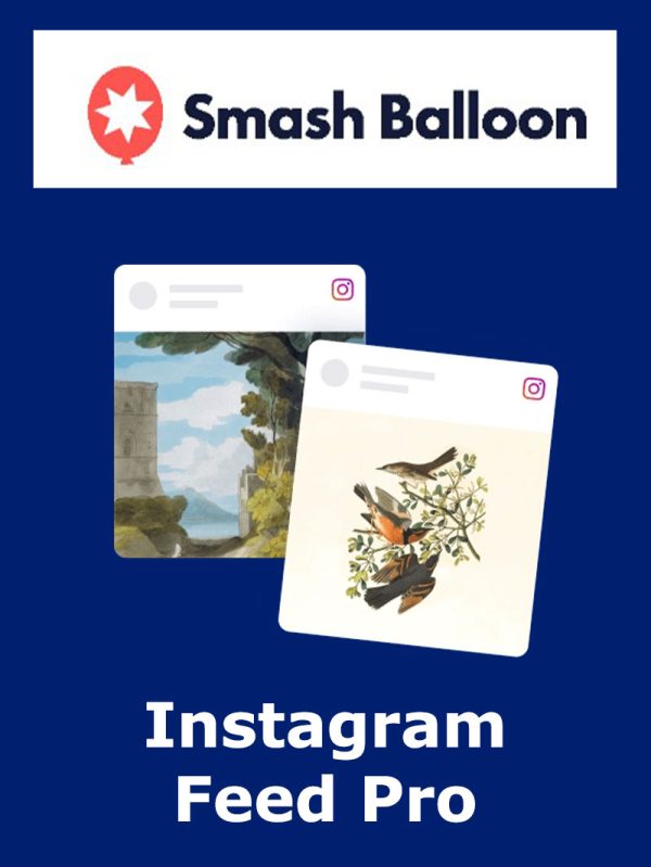 Instagram Feed Pro Lisansı