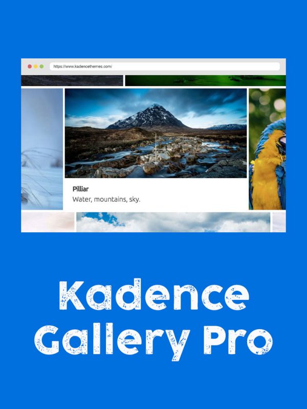 Kadence Gallery Pro Lisansı