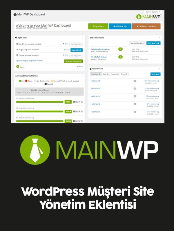 MainWP Pro Lisansı