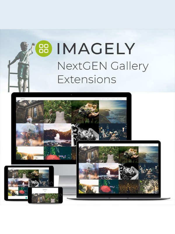 NextGEN Gallery Pro Lisansı NextGEN Gallery Pro Lisansı