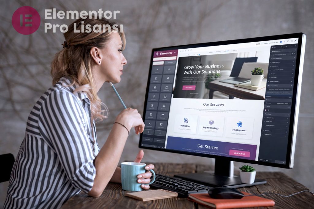 elementor pro lisansi