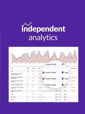 Independent Analytics Pro Lisansı