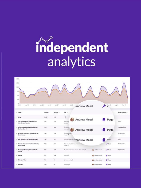 Independent Analytics Pro Lisansı